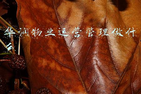 华润物业官网(“新白衣骑士”华润万象，下了今年物业收购第二单)