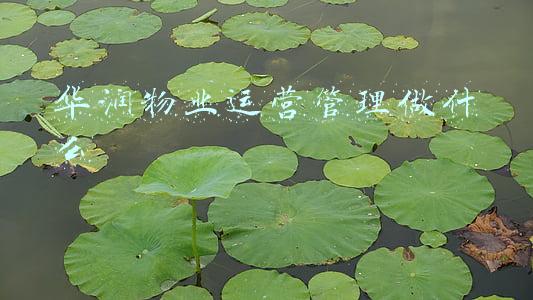 华润物业运营管理做什么