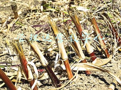 企业数字化运营是什么(数字化运营架构如何搭建？准备好3个基建+2个锦囊)