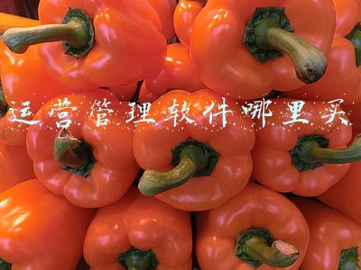 运营管理软件哪里买