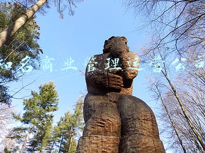 知名商业管理运营公司