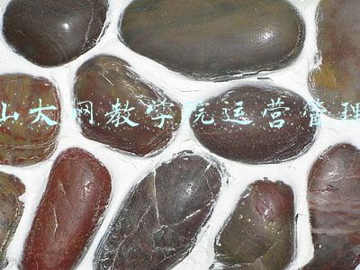 山大网教学院运营管理