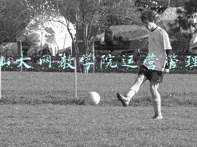 山大网教学院运营管理