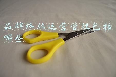 品牌运营是什么(品牌运营6大心法，了解一下？)