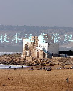 技术运营管理