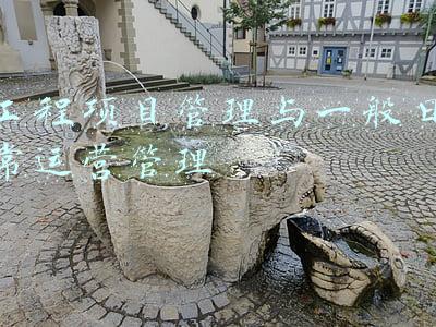 工程项目管理与一般日常运营管理