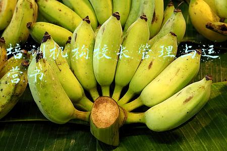 培训机构的执行校长具体做什么(关于建立中小学校党组织领导的校长负责制的意见)