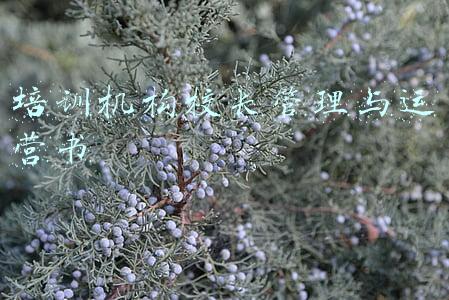 培训机构校长管理与运营书