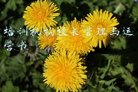 培训机构校长管理与运营书