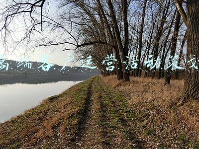 适合高端客户的活动(新晋引流神器！各大银行借力“冰墩墩”开展主题营销，办卡送币忙不停)