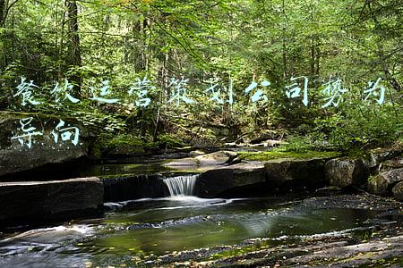 餐饮运营策划公司势为导向