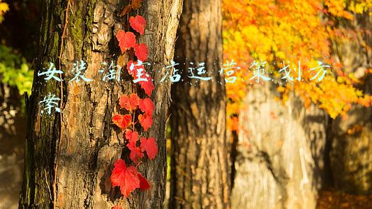女装网店运营策划方案(2个正常女装网店的运营思路)