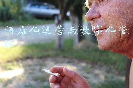 酒店化运营与数字化管理