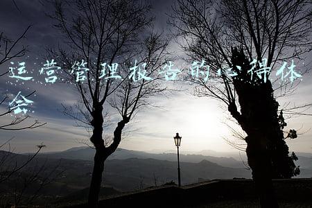 运营管理报告的心得体会