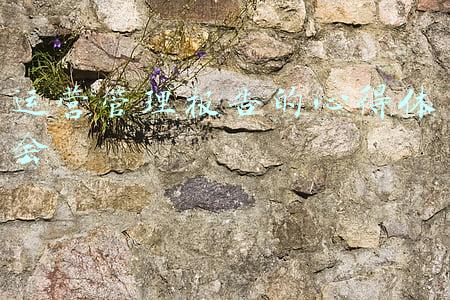 运营管理报告的心得体会