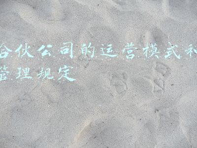 合伙公司的运营模式和管理规定