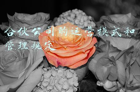 合伙制与公司制的区别(合伙企业与公司有什么区别？合伙企业和公司哪一个更有优势？)