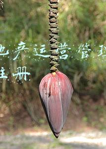 商业地产运营管理公司怎么注册
