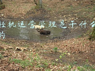城轨运营管理包括哪些工作(交通部权威发布城轨运营管理专家库名单(各专业一览))