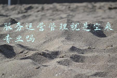 空乘管理专业干什么工作的(什么是空乘专业，空中乘务专业就业方向和发展前景)