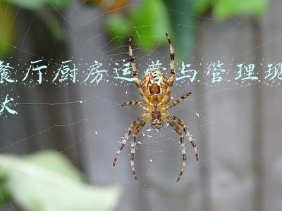 餐厅的运营管理(餐厅做好这四点，顾客一次次回头)