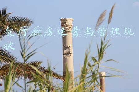 餐厅厨房运营与管理现状