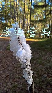 餐厅厨房运营与管理现状