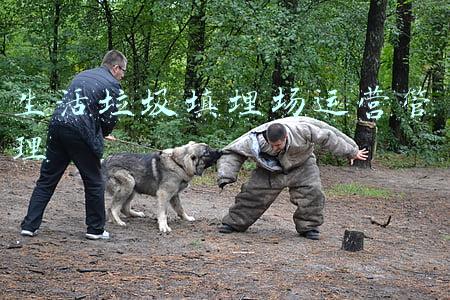 生活垃圾填埋场运营管理