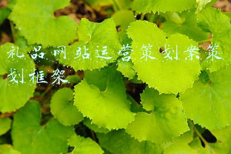 鲜花礼品网站(直播PK背后的套路：观众花1.3万元送的礼物“托儿”只需几毛钱到几块钱)