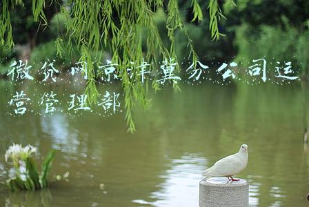 微贷网客服(微贷网退出网贷，吹响P2P清退“最后的号角”？)