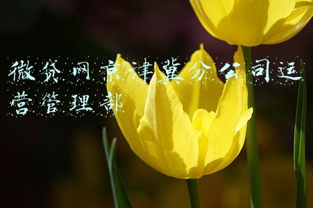 微贷网京津冀分公司运营管理部
