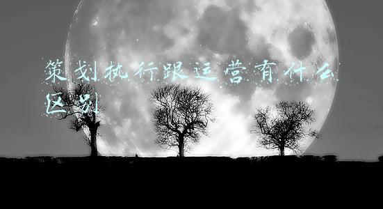 策划执行跟运营有什么区别