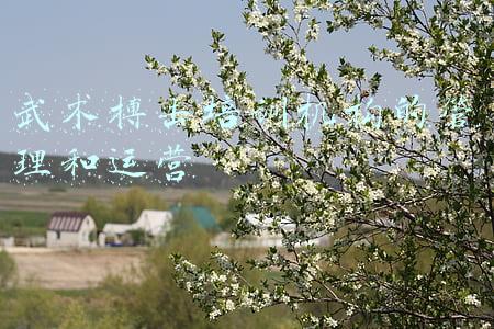 搏击教练培训(世界冠军郑召玉亲自授课，昆仑决教练员认证培训48期正在进行中)