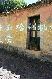 搏击培训费用(李景亮师弟招收终身学员，学费10万元，拳迷：学做炊饼吗？)