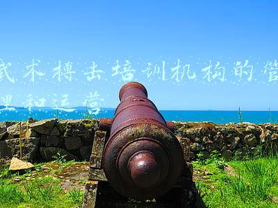 儿童武术培训机构(小孩学武术如何选择机构？有经验的家长可以一起来交流)