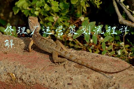 管理修理厂的方案(汽修店想扭亏为盈、持续盈利，该如何自救？)