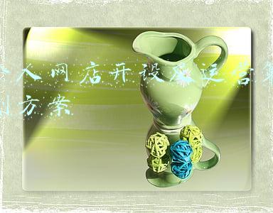 个人网店开设及运营策划方案