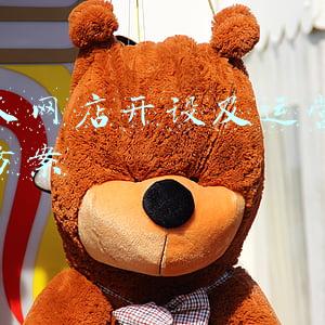 个人网店开设及运营策划方案