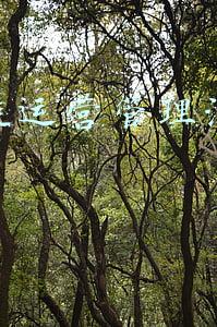 供应链融资流程图(细说订单融资：一种典型的供应链金融中的信用融资模式)