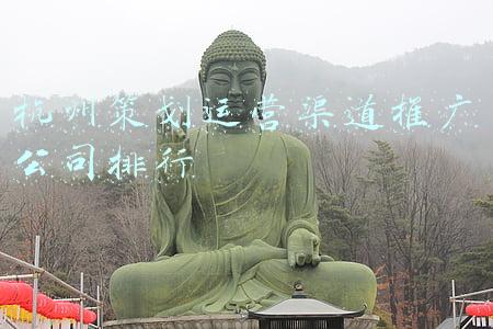 杭州策划运营渠道推广公司排行