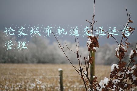 论文城市轨道交通运营管理
