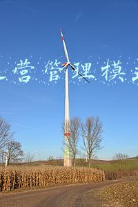 轨道运营管理模式有哪些