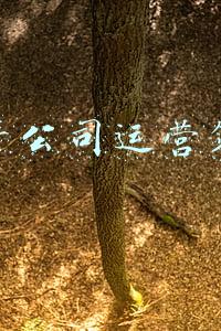 房地产公司运营部职责(To B战场：没有风口的年代，运营就是风口)
