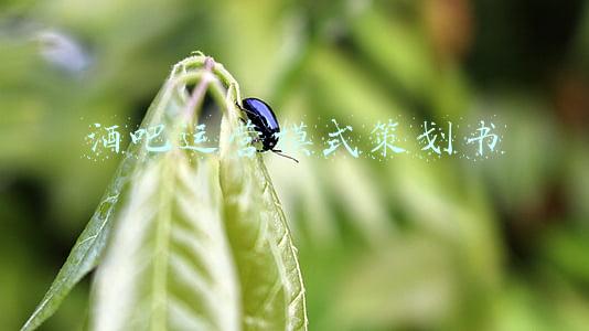 酒吧运营策划方案(如何开一家酒吧03：商业计划书)