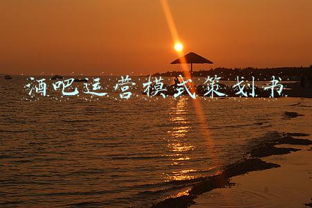 2021酒吧项目策划书(2021 年最受欢迎的国外家庭酒吧设计)