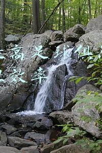 如何提高足球俱乐部运营管理效率