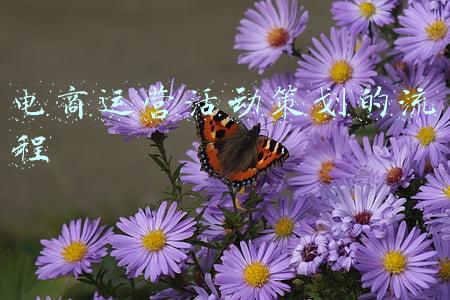 电商运营活动策划的流程