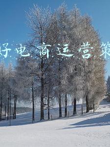 运营一个品牌的营销策划(品牌当前流行的7个营销玩法)