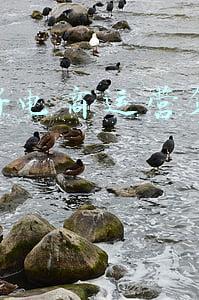 电商质量管理体系(2021年终盘点｜二手电商交易标准化体系逐渐成型，行业头部效应凸显)