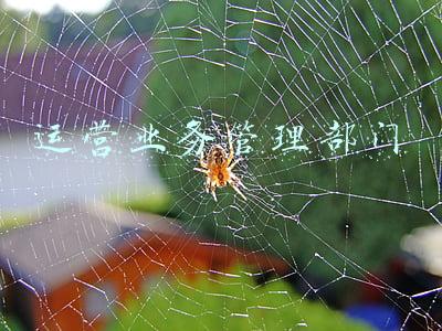 运营业务管理部门